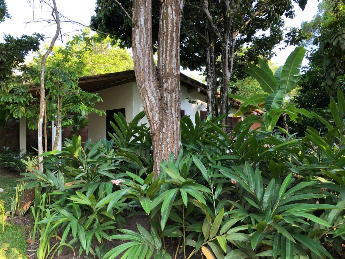 Casa Aracua Trancoso Villa Kültér fotó